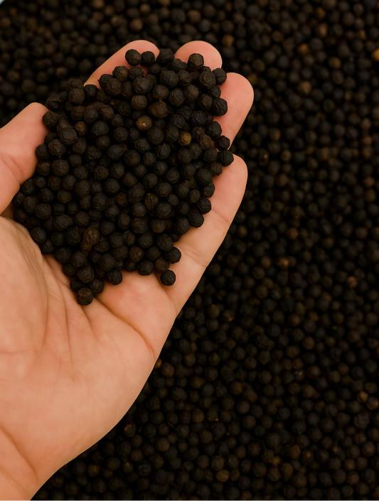 Hand holding a small pile of dark-colored seeds against a background of similar seeds.