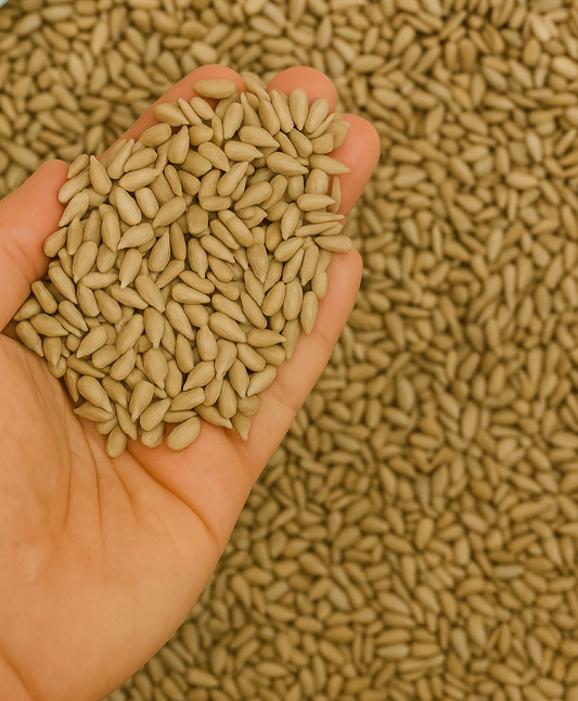 Premium Raw Sunflower Seeds – Healthy Vegan Snack