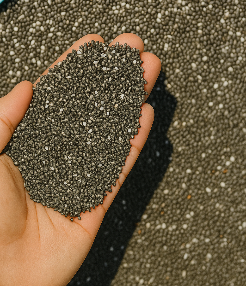 Premium Raw Chia Seeds – 100% Natural & Vegan Superfood