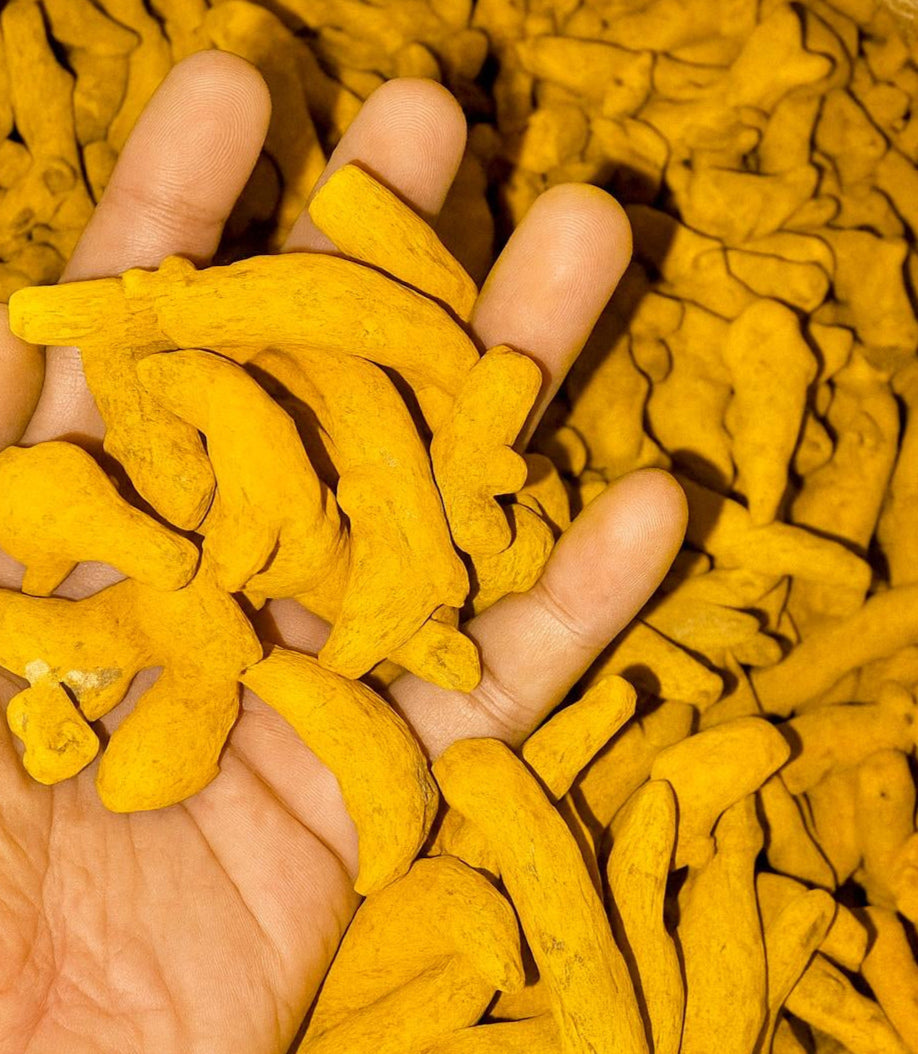Gotta Haldi (Whole Turmeric Fingers)